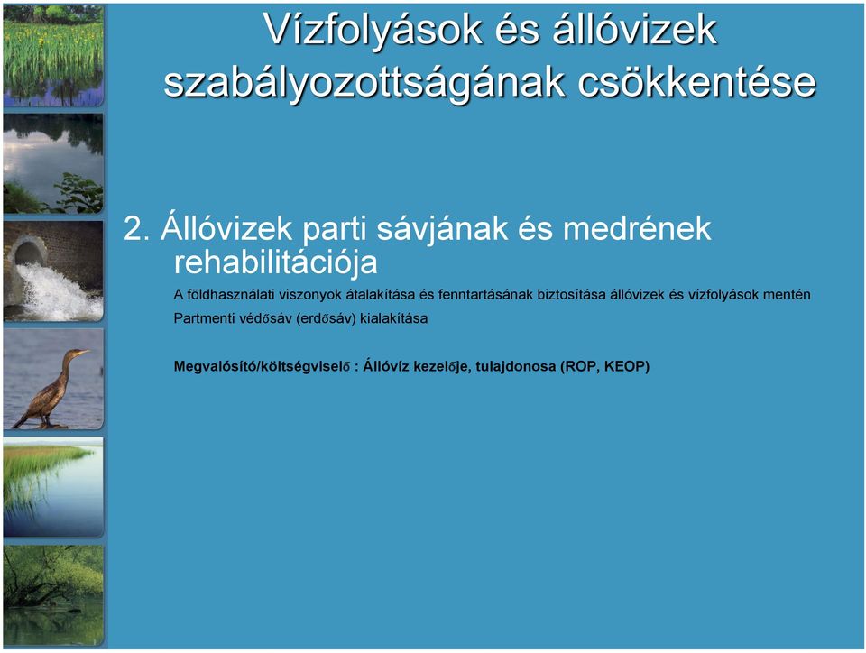 állóvizek és vízfolyások mentén Partmenti védősáv (erdősáv)