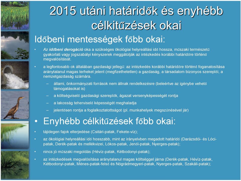 a legfontosabb ok általában gazdasági jellegű: az intézkedés korábbi határidőre történő foganatosítása aránytalanul magas terheket jelent (megfizethetetlen) a gazdaság, a társadalom bizonyos