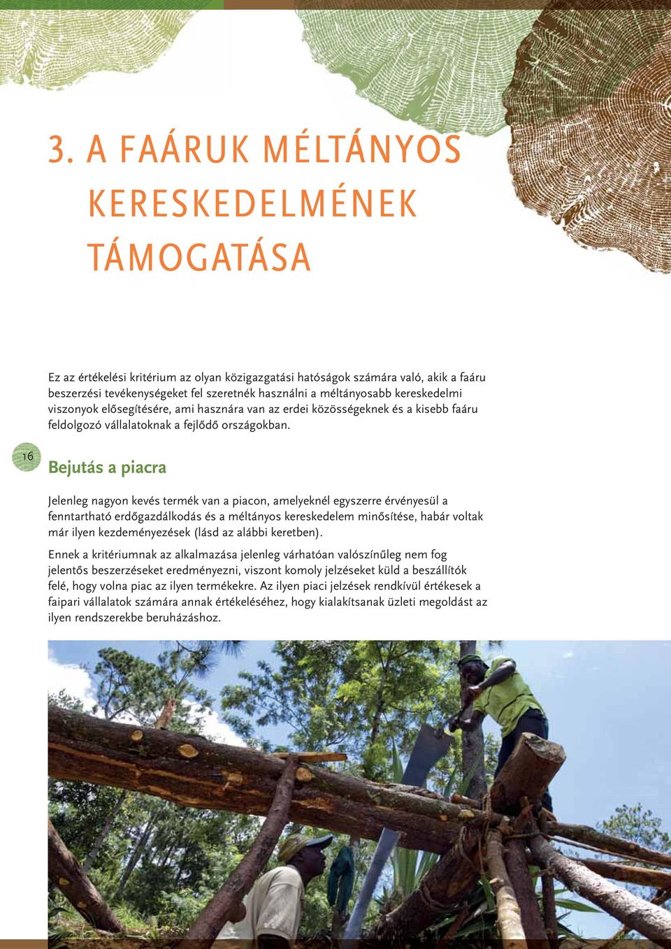 16 Bejutás a piacra Jelenleg nagyon kevés termék van a piacon, amelyeknél egyszerre érvényesül a fenntartható erdőgazdálkodás és a méltányos kereskedelem minősítése, habár voltak már ilyen