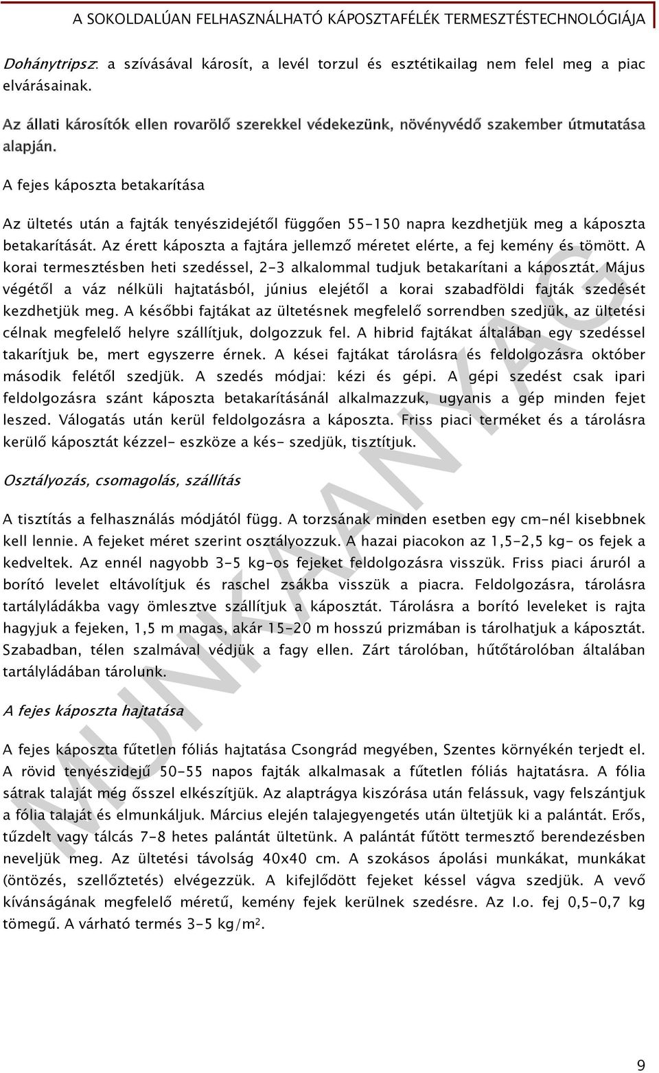 Az érett káposzta a fajtára jellemző méretet elérte, a fej kemény és tömött. A korai termesztésben heti szedéssel, 2-3 alkalommal tudjuk betakarítani a káposztát.