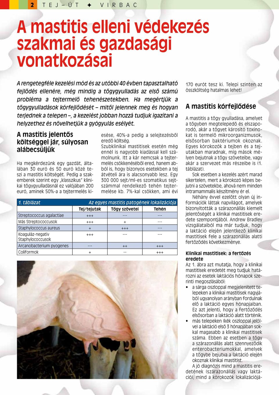 Ha megértjük a tôgygyulladások kórfejlôdését mitôl jelennek meg és hogyan terjednek a telepen, a kezelést jobban hozzá tudjuk igazítani a helyzethez és növelhetjük a gyógyulás esélyét.