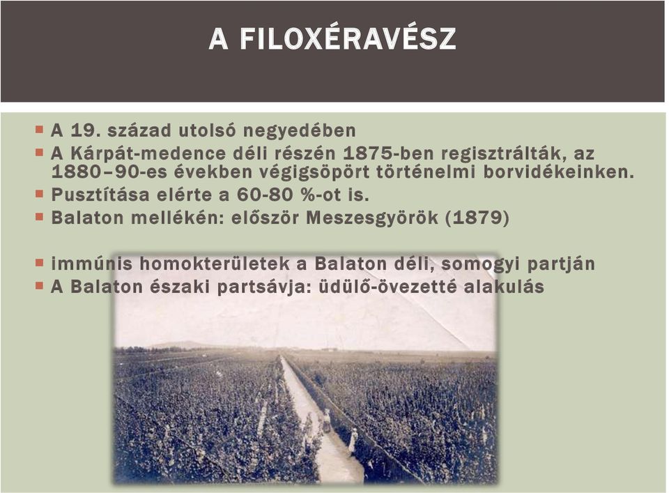 90-es években végigsöpört történelmi borvidékeinken. Pusztítása elérte a 60-80 %-ot is.