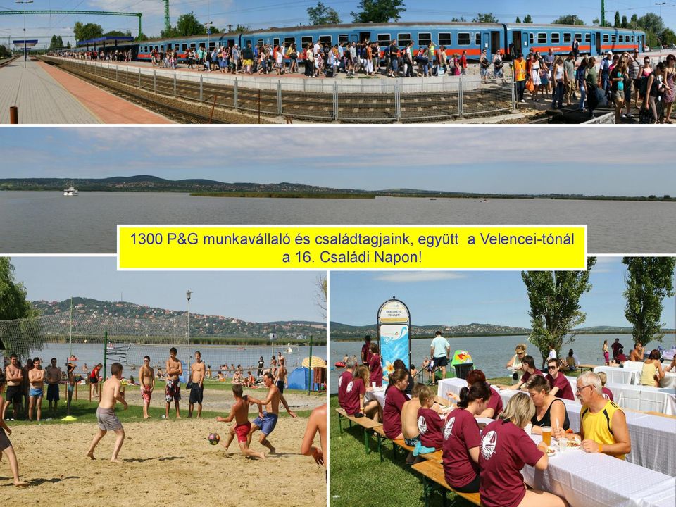 1300 P&G munkavállaló és