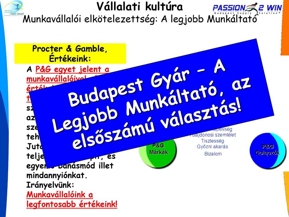 A legkiválóbb szakembereket alkalmazzuk az egész világon, és szervezetünk belülről, tehetségeinkből
