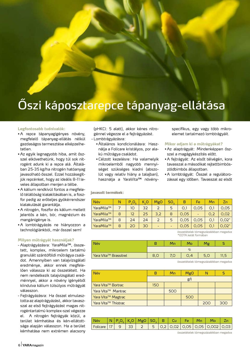Ezzel hozzásegítjük repcénket, hogy az ideális 8-11 leveles állapotban menjen a télbe.