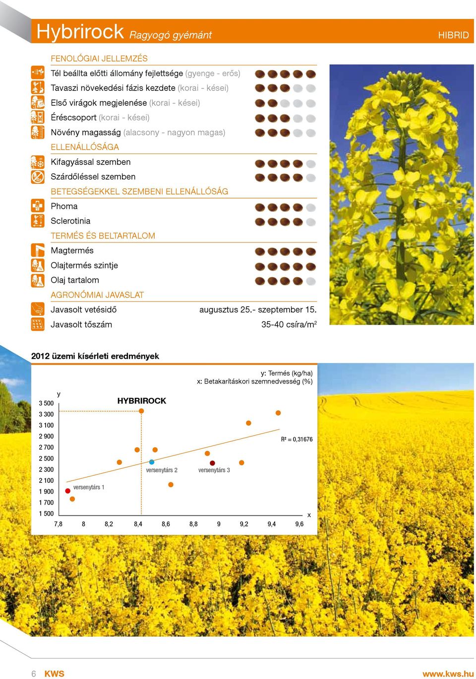 ELLENÁLLÓSÁG Phoma Sclerotinia TERMÉS ÉS BELTARTALOM Magtermés Olajtermés szintje Olaj tartalom AGRONÓMIAI JAVASLAT Javasolt vetésidő augusztus 25.- szeptember 15.