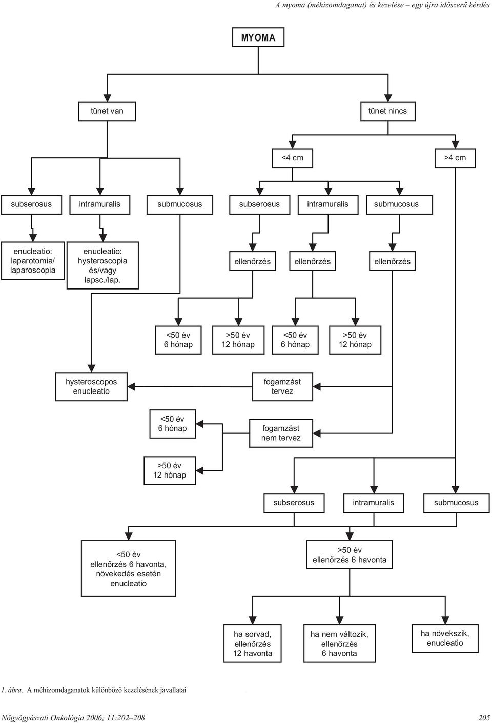 ellenôrzés ellenôrzés ellenôrzés <50 év 6 hónap >50 év 12 hónap <50 év 6 hónap >50 év 12 hónap hysteroscopos enucleatio fogamzást tervez <50 év 6 hónap fogamzást nem tervez >50 év 12 hónap