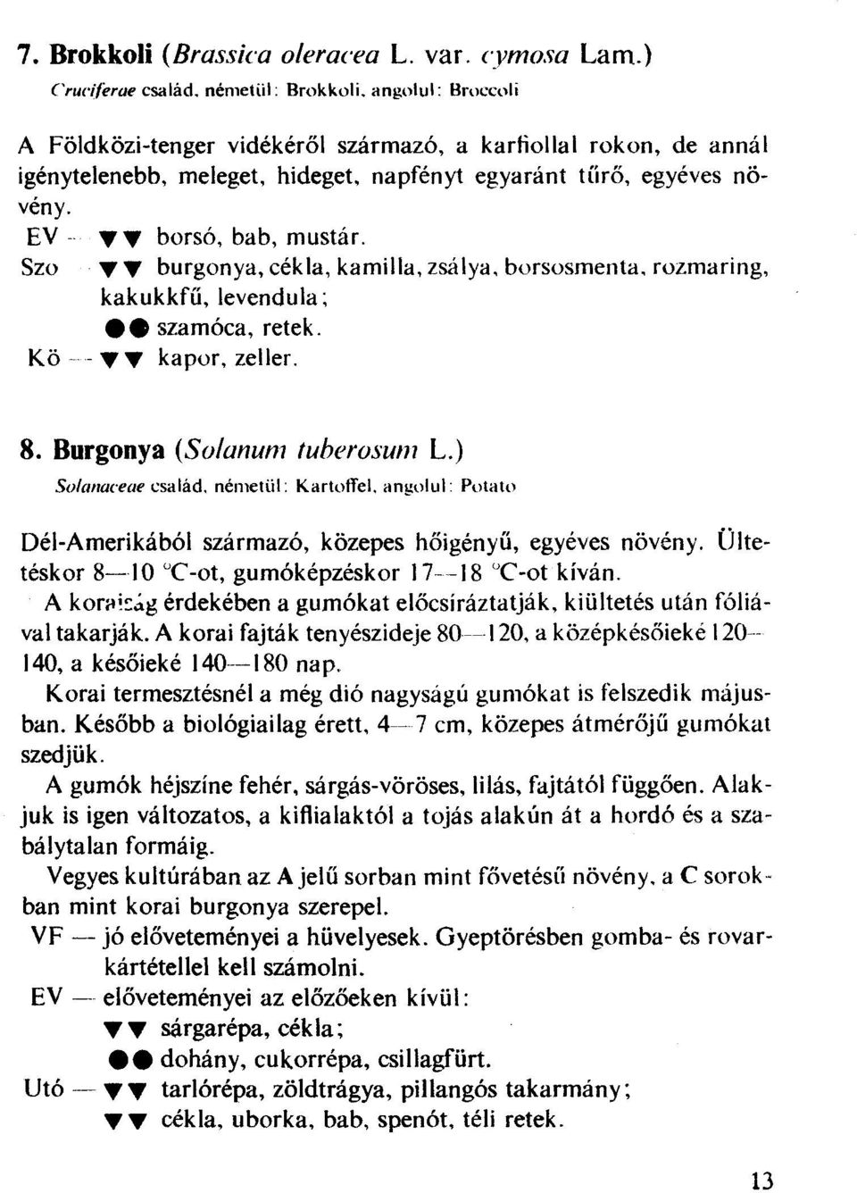 Szo 'Y 'Y burgonya, cékla, kamilla, zsálya, borsosmenta. rozmaring, kakukkfű, levendula; Kö e e szamóca, retek. --y 'Y kapor, zeller. 8. Burgonya (Solanum tuberasum L.) Solanaceae család.