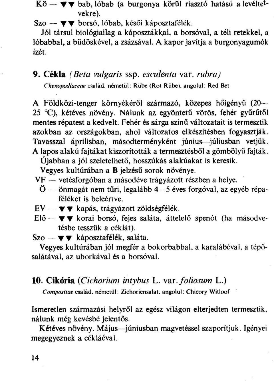 németül: R übe (Rot R übe). angolul: Red Bet A Földközi-tenger környékéről származó, közepes hőigényű (20-- 25 C), kétéves növény. Nálunk az egyöntetű vörös, fehér gyűrűtől mentes répatest a kedvelt.