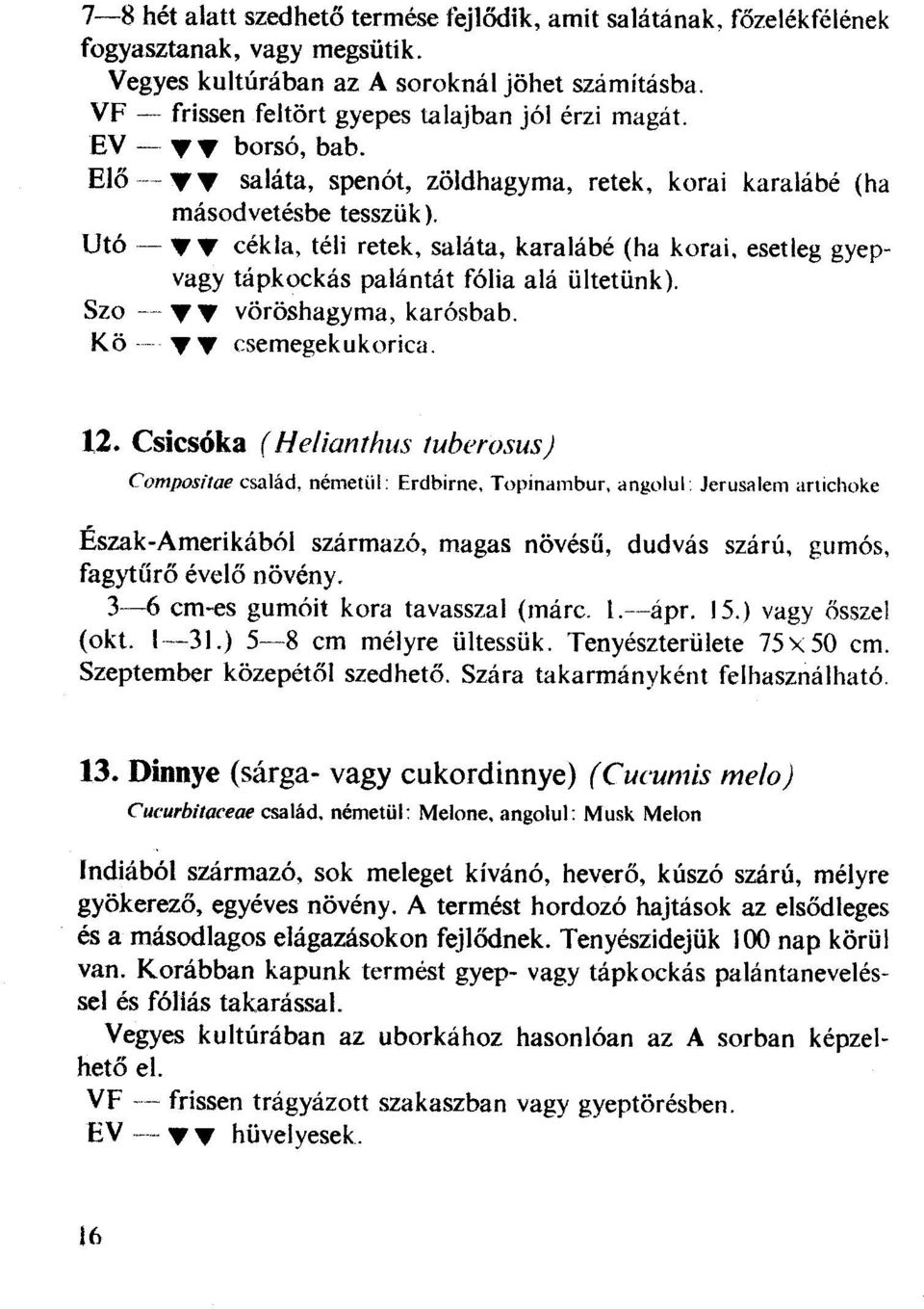 ., ~ cékla, téli retek, saláta, karalábé (ha korai, esetleg gyepvagy tápkockás palántát fólia alá ültetünk). Szo --- ~.., vöröshagyma, karósbab. Kö --..,.., csemegekukorica. 12.