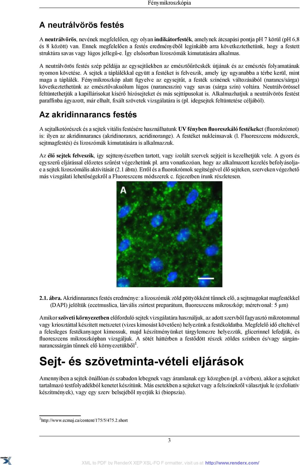 A neutrálvörös festés szép példája az egysejtűekben az emésztőűröcskék útjának és az emésztés folyamatának nyomon követése.
