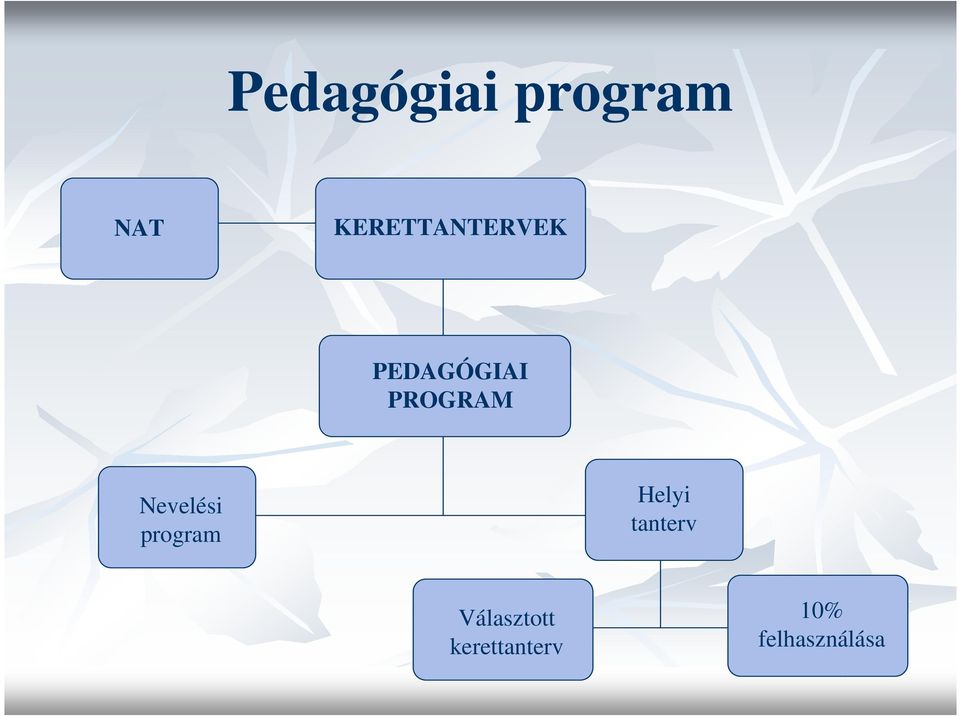 PROGRAM Nevelési program Helyi