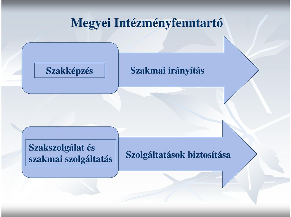 Szakszolgálat és szakmai
