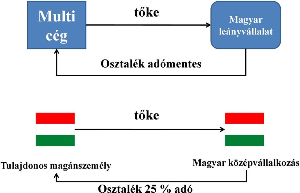 tőke Tulajdonos magánszemély