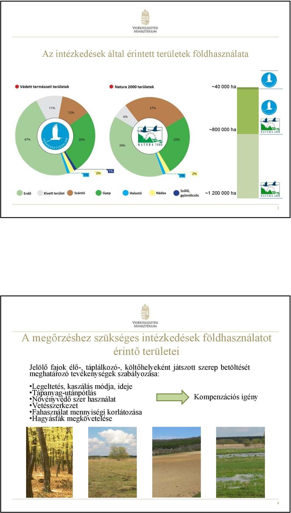 szerep betöltését meghatározó tevékenységek szabályozása: Legeltetés, kaszálás módja, ideje Tápanyag-utánpótlás