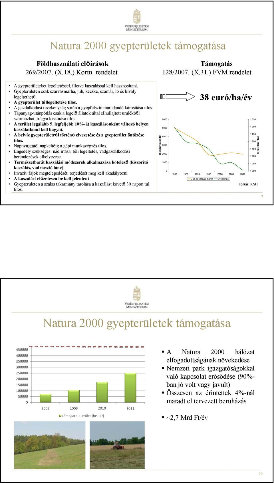 A gyepterület túllegeltetése tilos. A gazdálkodási tevékenység során a gyepfelszín maradandó károsítása tilos.