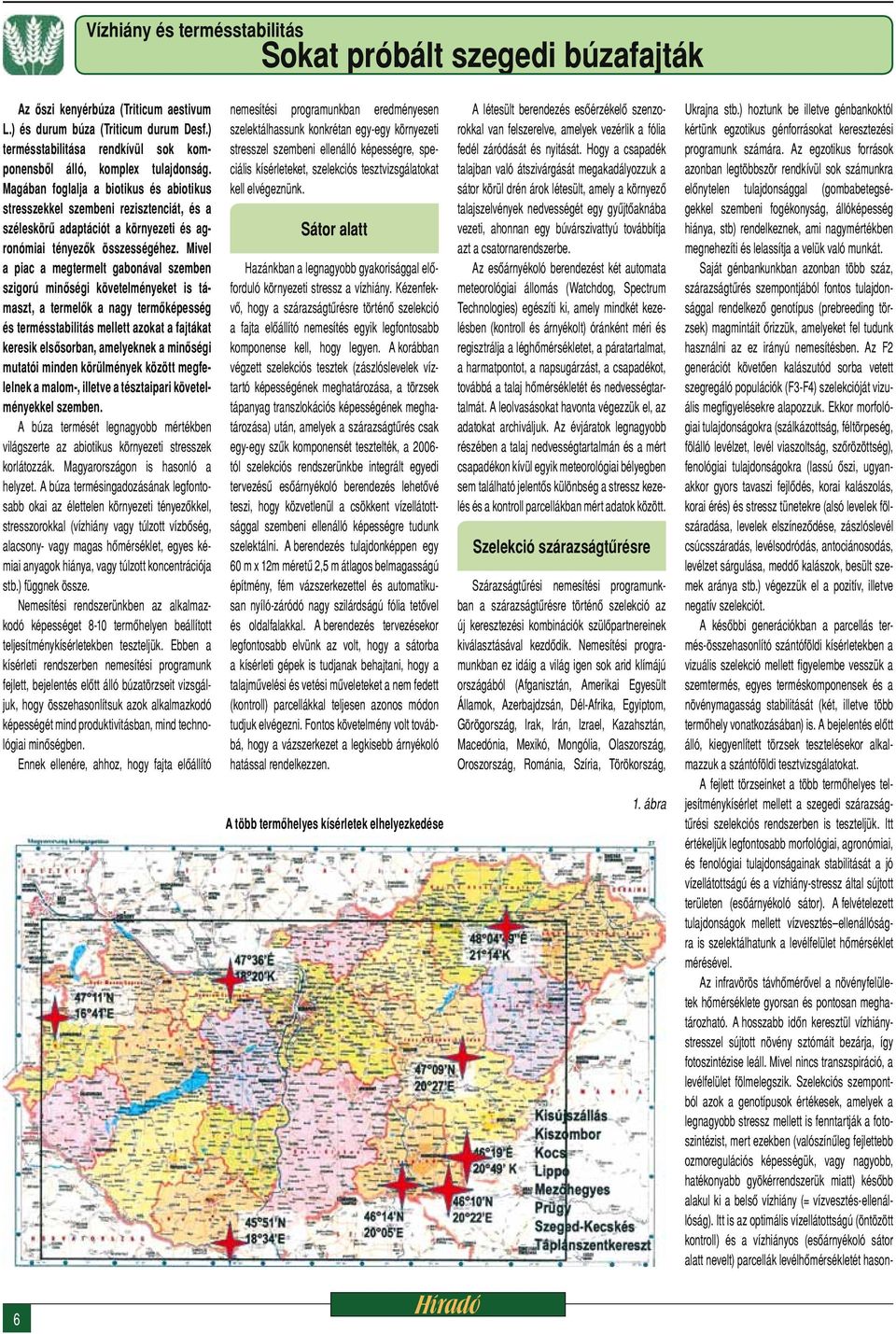 Magában foglalja a biotikus és abiotikus stresszekkel szembeni rezisztenciát, és a széleskörű adaptációt a környezeti és agronómiai tényezők összességéhez.