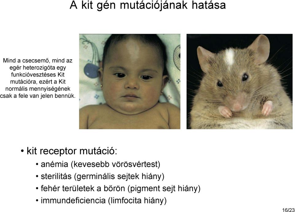 jelen bennük.