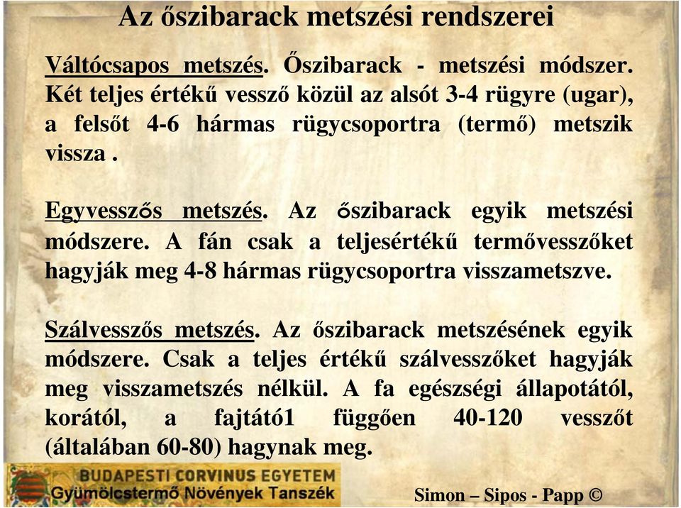 Az őszibarack egyik metszési módszere. A fán csak a teljesértékű termővesszőket hagyják meg 4-8 hármas rügycsoportra visszametszve.