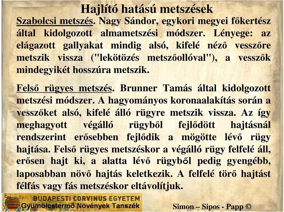 Brunner Tamás által kidolgozott metszési módszer. A hagyományos koronaalakítás során a vesszőket alsó, kifelé álló rügyre metszik vissza.