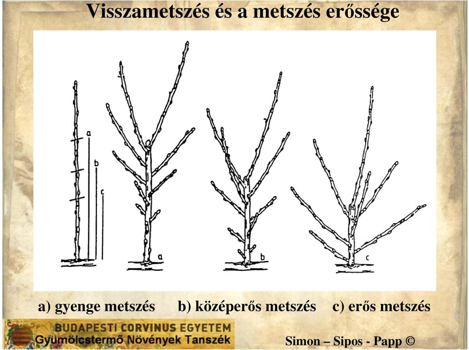 gyenge metszés b)