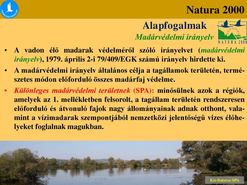 A madárvédelmi irányelv általános célja a tagállamok területén, természetes módon előforduló összes madárfaj védelme.