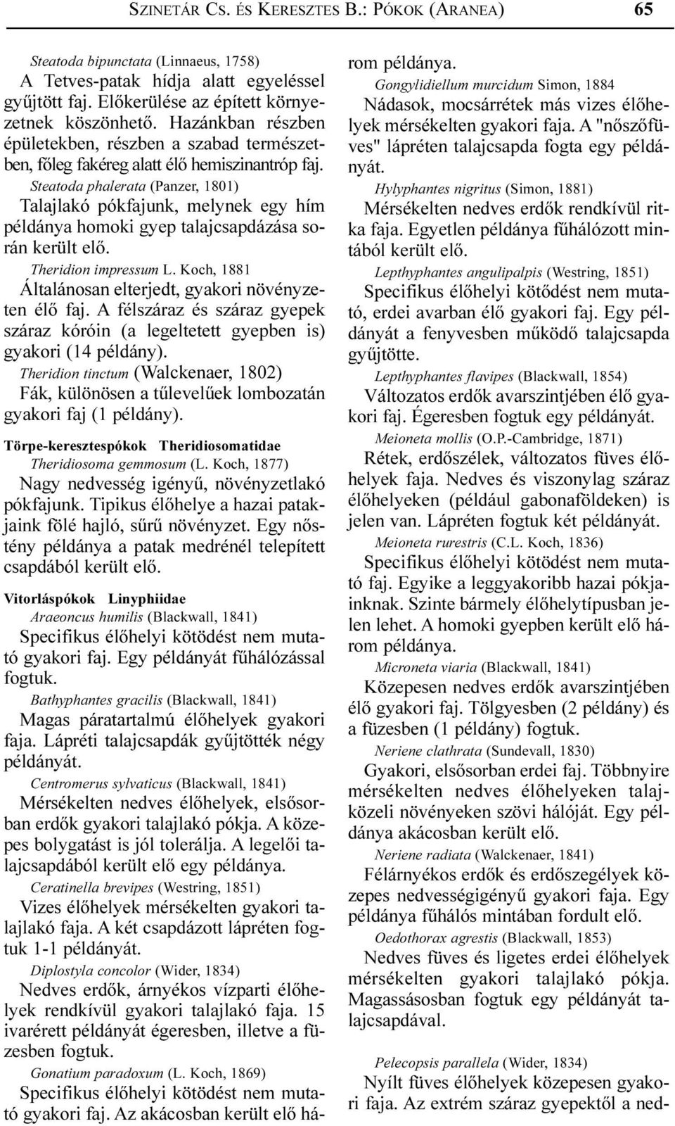 Steatoda phalerata (Panzer, 1801) Talajlakó pókfajunk, melynek egy hím példánya homoki gyep talajcsapdázása során került elõ. Theridion impressum L.