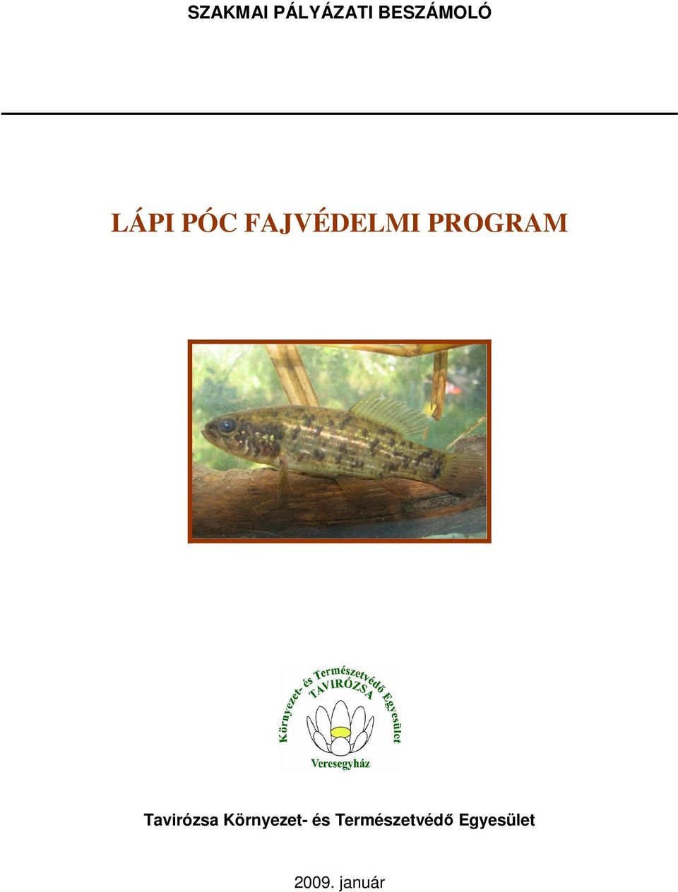 Tavirózsa Környezet- és