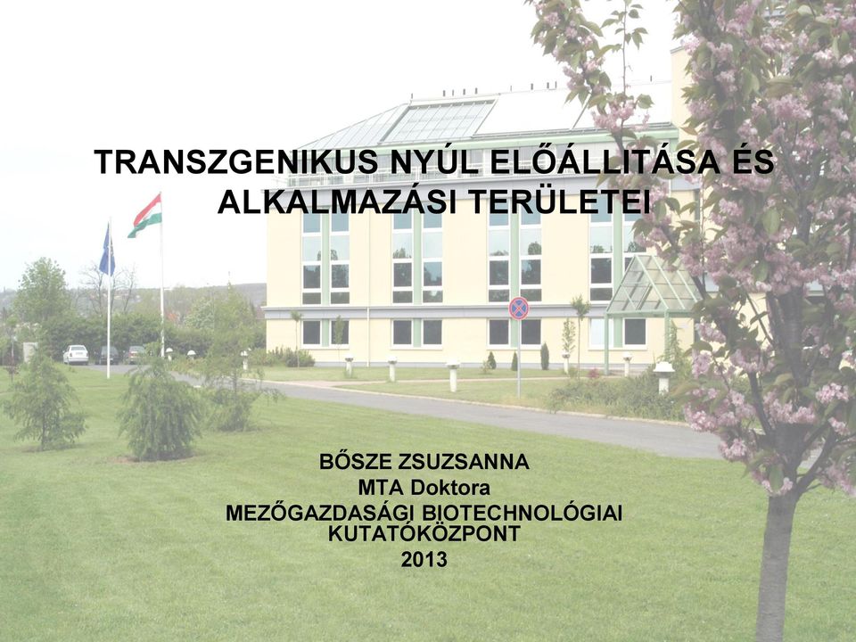 ZSUZSANNA MTA Doktora