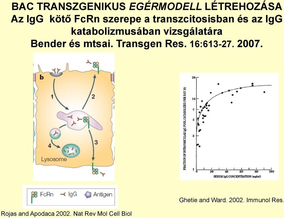 vizsgálatára Bender és mtsai. Transgen Res. 16:613-27. 2007.