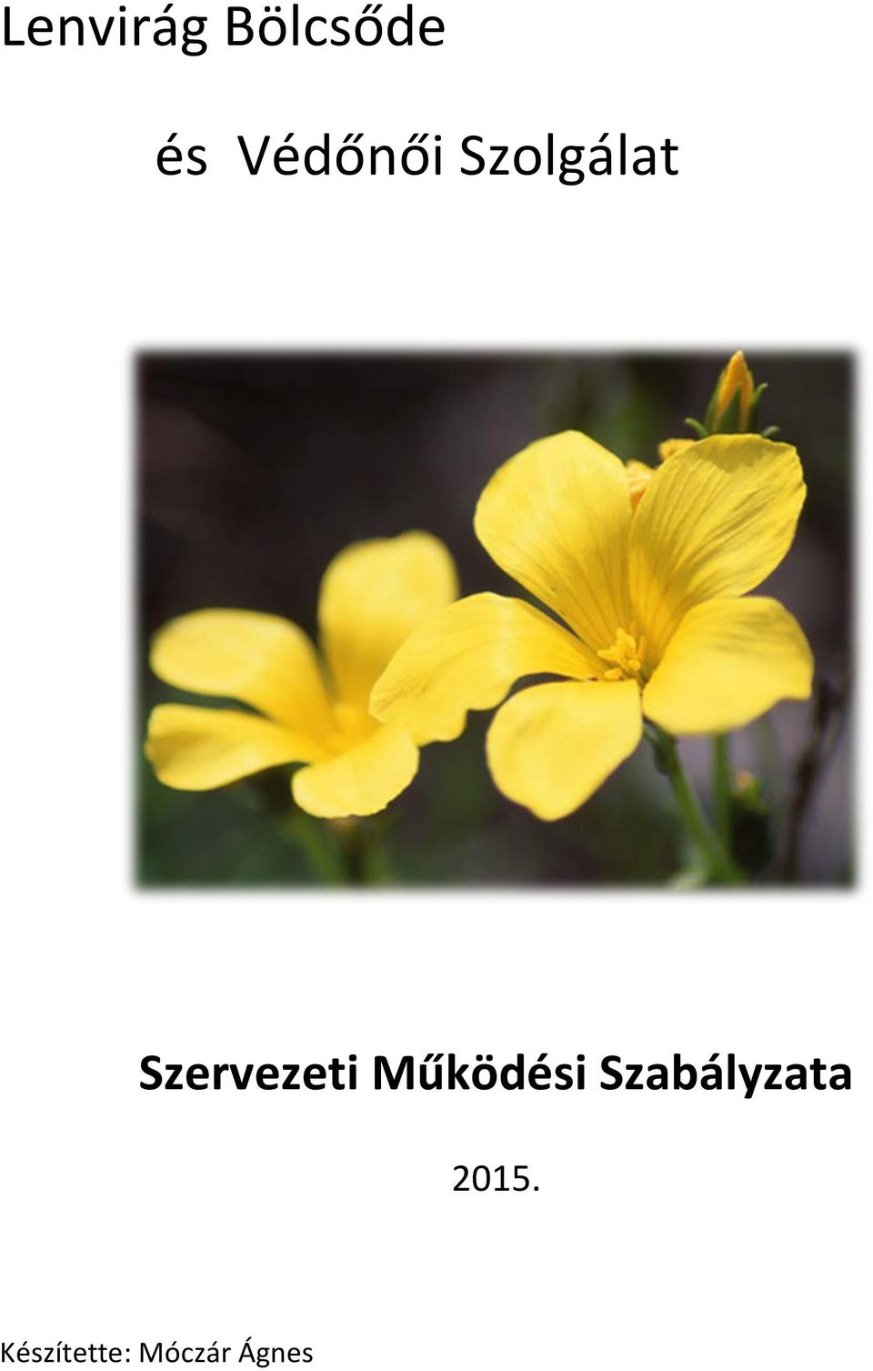 Szervezeti Működési