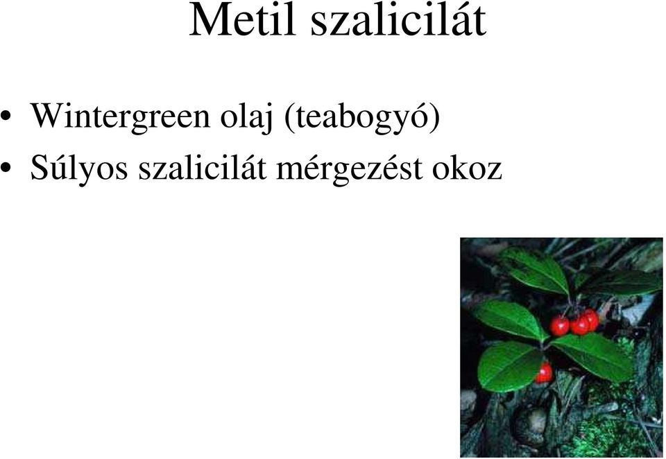 (teabogyó) Súlyos