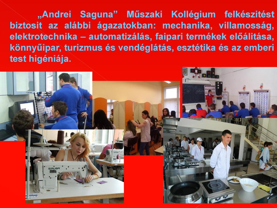 elektrotechnika automatizálás, faipari termékek