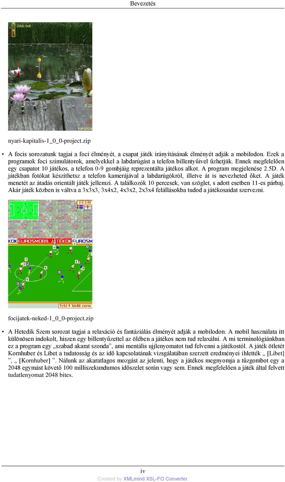 A program megjelenése 2.5D. A játékban fotókat készíthetsz a telefon kamerájával a labdarúgókról, illetve át is nevezheted őket. A játék menetét az átadás orientált játék jellemzi.