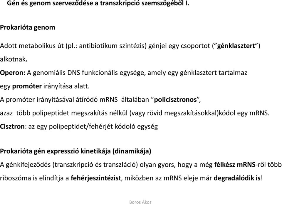 A promóterirányításával átíródó mrns általában policisztronos, azaz több polipeptidet megszakítás nélkül (vagy rövid megszakításokkal)kódol egy mrns.