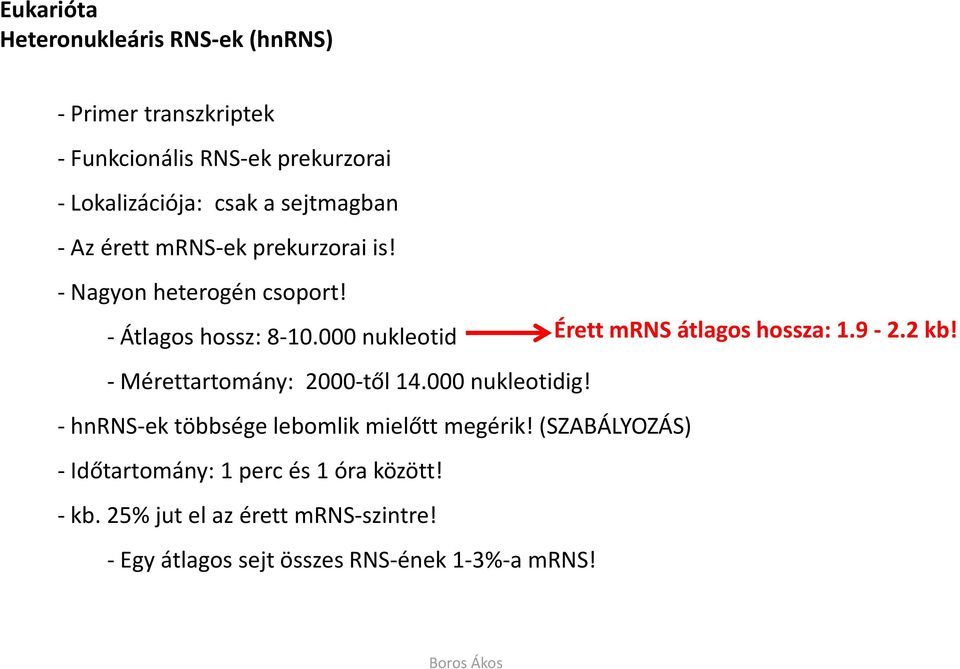 000 nukleotid Érett mrnsátlagos hossza: 1.9-2.2 kb! - Mérettartomány: 2000-től 14.000 nukleotidig!
