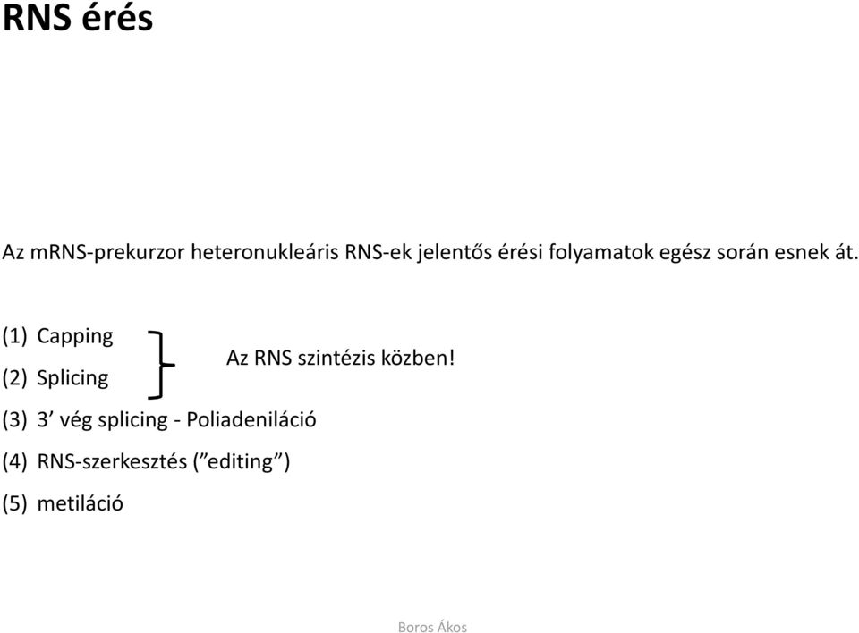 (1) Capping Az RNS szintézis közben!