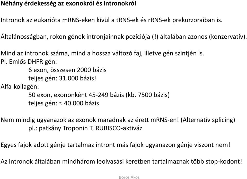teljes gén: 31.000 bázis! Alfa-kollagén: 50 exon, exononként 45-249 bázis (kb. 7500 bázis) teljes gén: 40.000 bázis Nem mindig ugyanazok az exonok maradnak az érett mrns-en!