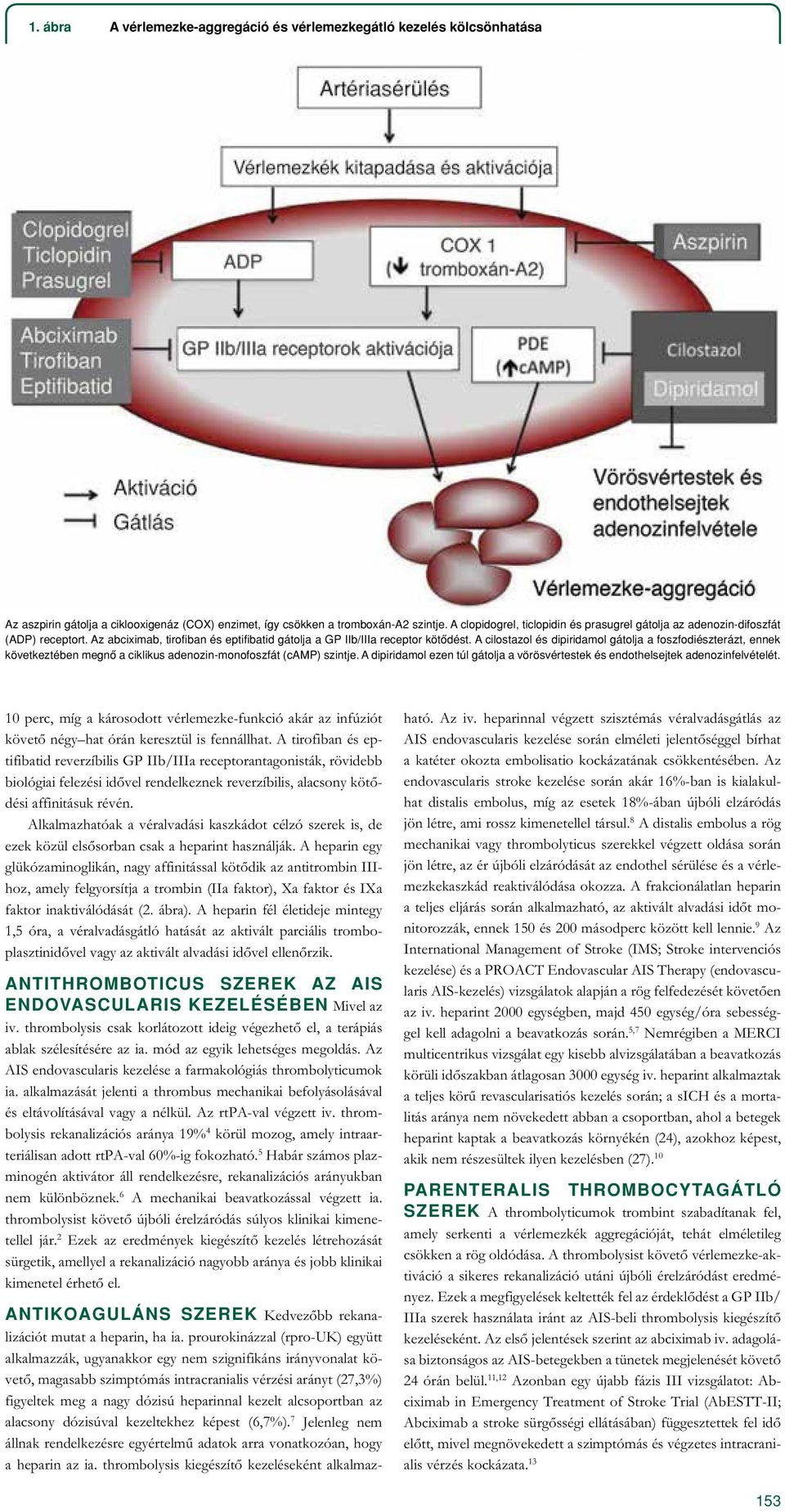 A cilostazol és dipiridamol gátolja a foszfodiészterázt, ennek következtében megnô a ciklikus adenozin-monofoszfát (camp) szintje.