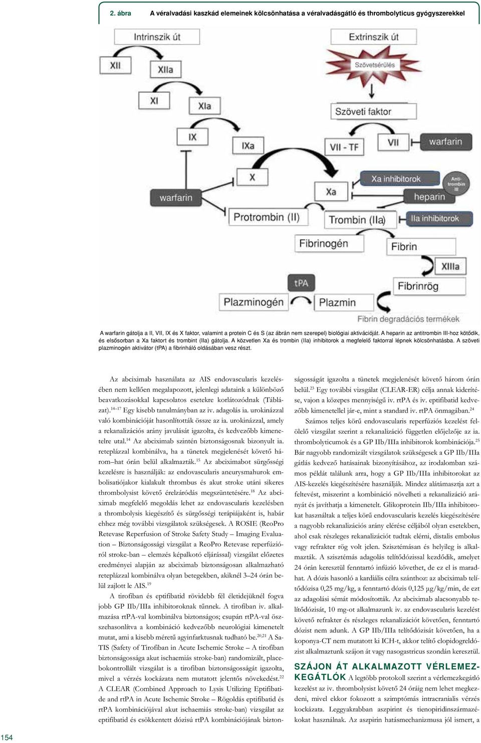 A közvetlen Xa és trombin (IIa) inhibitorok a megfelelô faktorral lépnek kölcsönhatásba. A szöveti plazminogén aktivátor (tpa) a fibrinháló oldásában vesz részt.