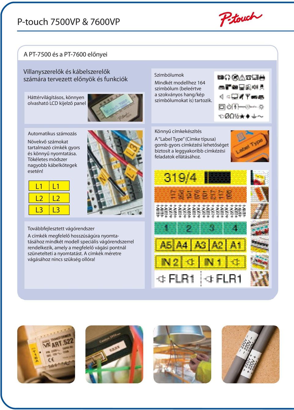 Tökéletes módszer nagyobb kábelkötegek esetén! Könnyű címkekészítés A Label Type (Címke típusa) gomb gyors címkézési lehetőséget biztosít a leggyakoribb címkézési feladatok ellátásához.