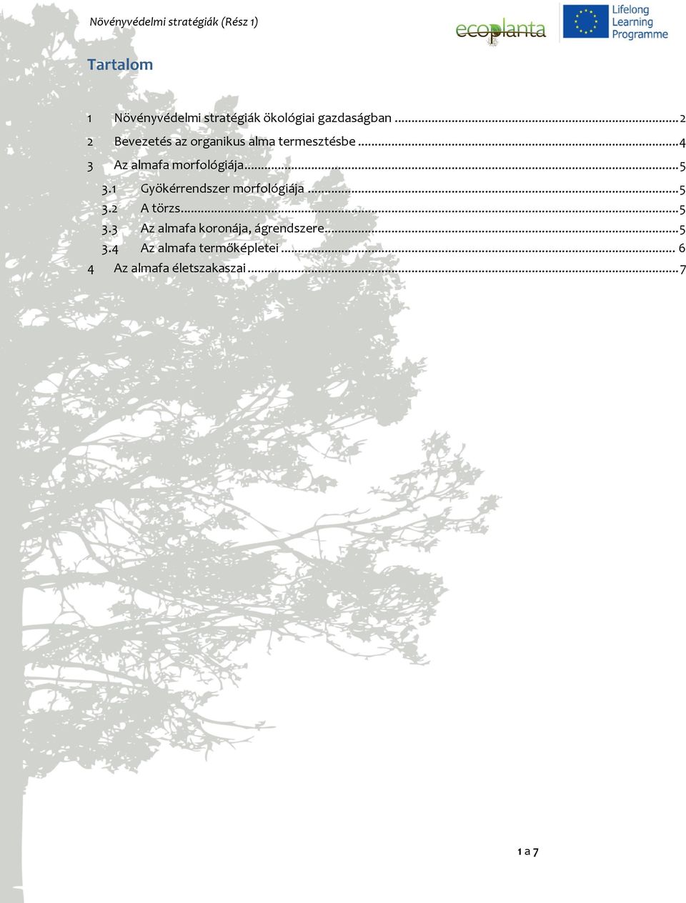 .. 5 3.1 Gyökérrendszer morfológiája... 5 3.2 A törzs... 5 3.3 Az almafa koronája, ágrendszere.