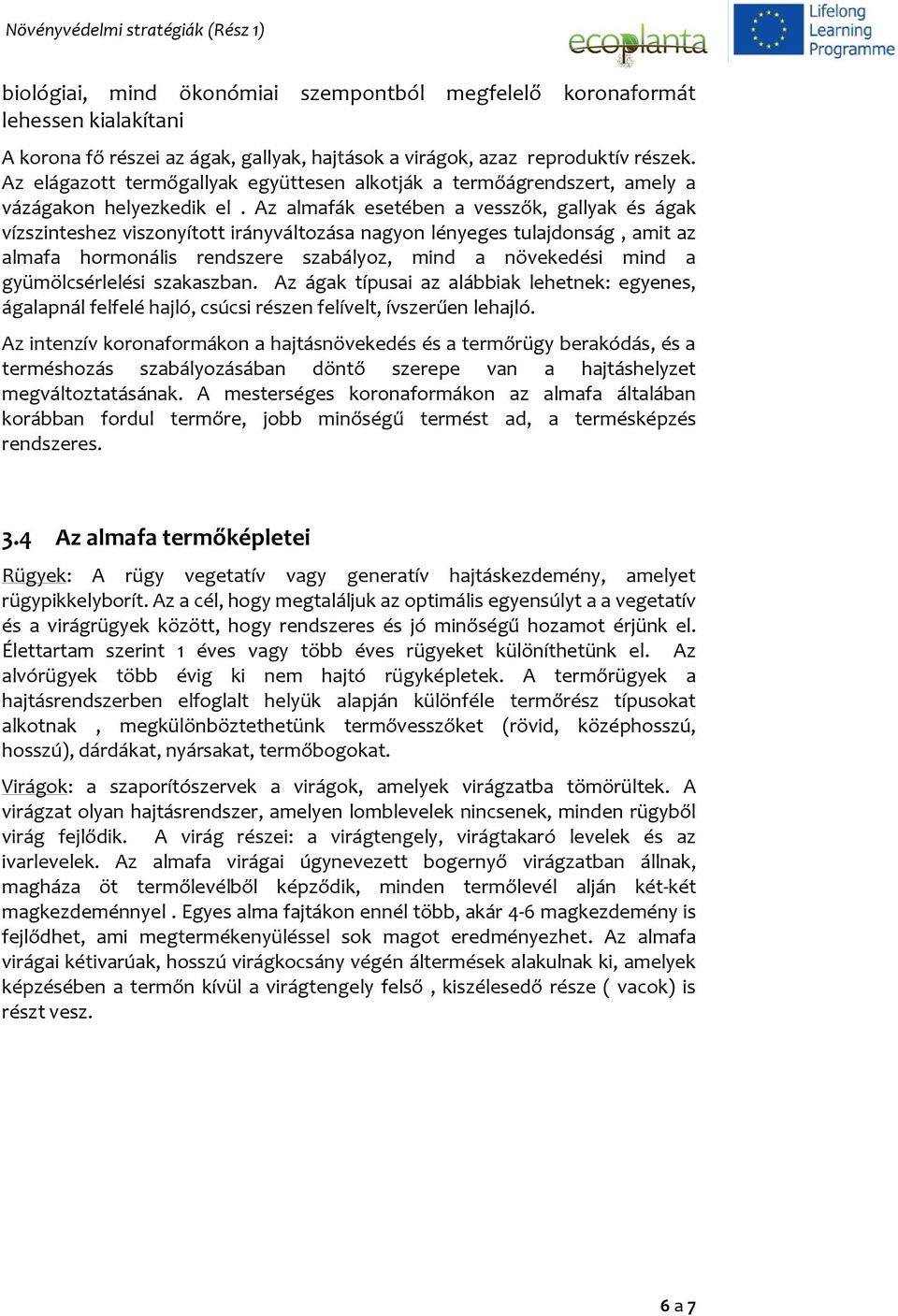 Az almafák esetében a vesszők, gallyak és ágak vízszinteshez viszonyított irányváltozása nagyon lényeges tulajdonság, amit az almafa hormonális rendszere szabályoz, mind a növekedési mind a