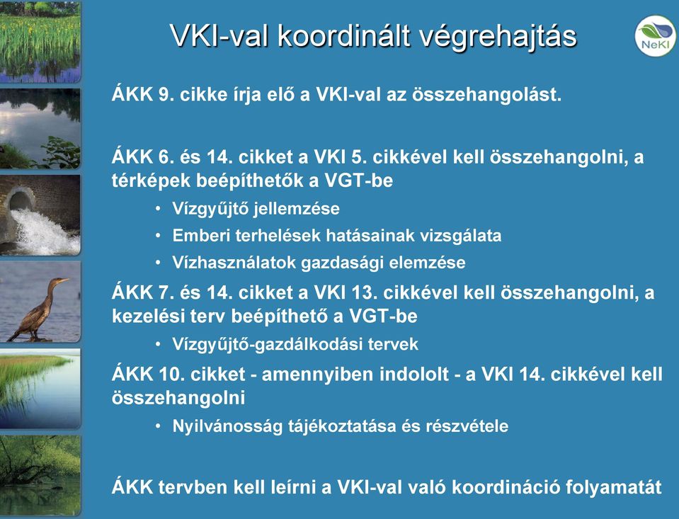 gazdasági elemzése ÁKK 7. és 14. cikket a VKI 13.