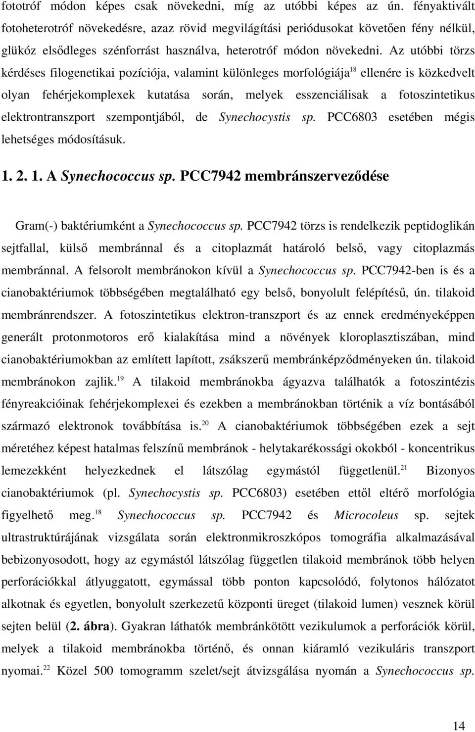 Az utóbbi törzs kérdéses filogenetikai pozíciója, valamint különleges morfológiája 18 ellenére is közkedvelt olyan fehérjekomplexek kutatása során, melyek esszenciálisak a fotoszintetikus