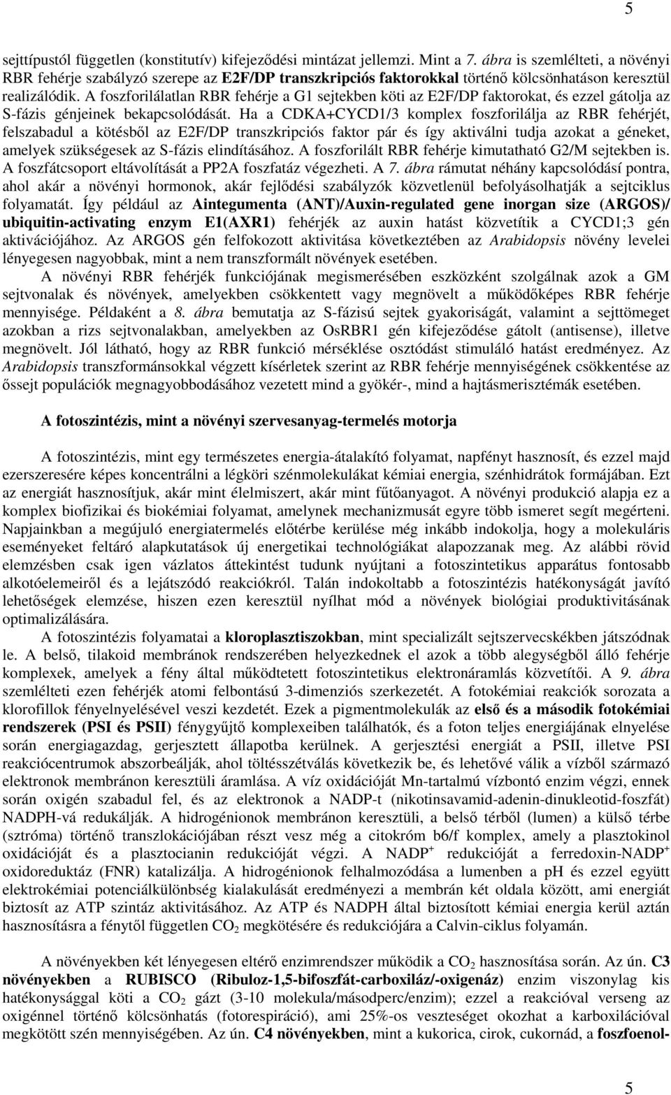 A foszforilálatlan RBR fehérje a G1 sejtekben köti az E2F/DP faktorokat, és ezzel gátolja az S-fázis génjeinek bekapcsolódását.