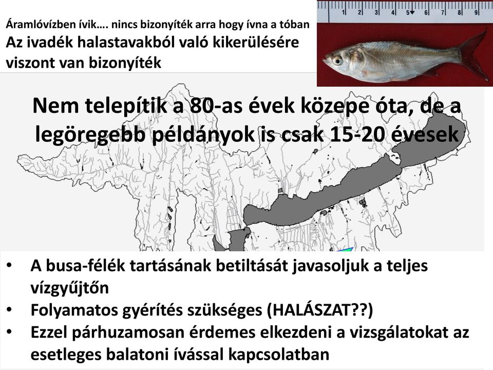 bizonyíték Nem telepítik a 80-as évek közepe óta, de a legöregebb példányok is csak 15-20 évesek A