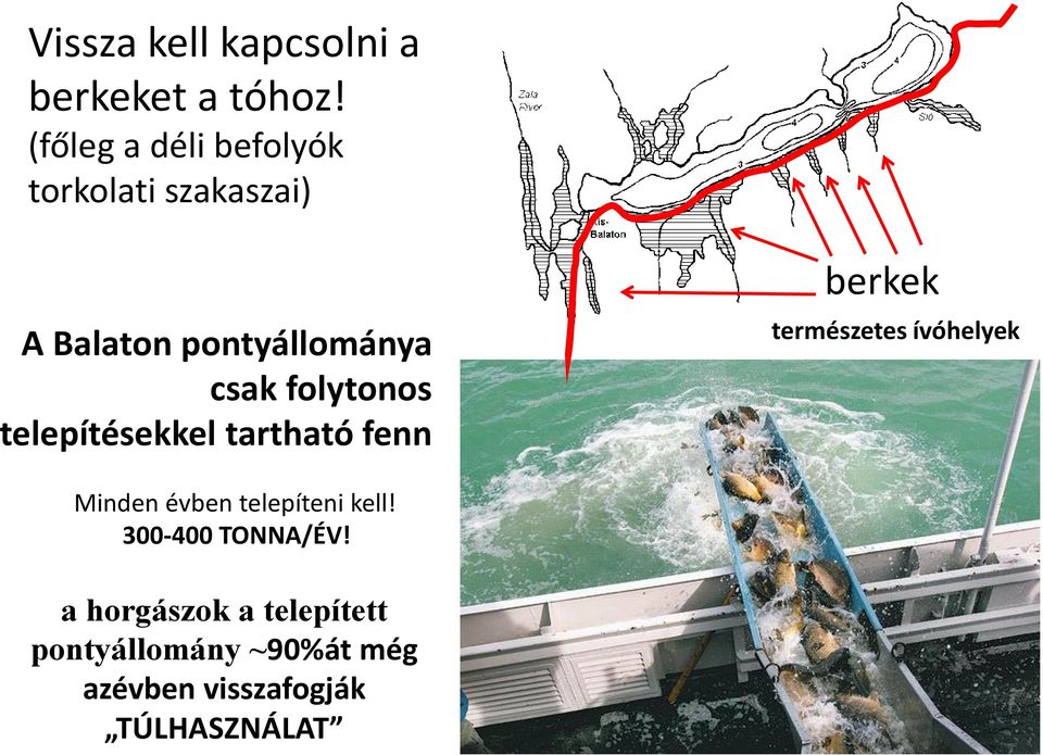 folytonos telepítésekkel tartható fenn berkek természetes ívóhelyek Minden