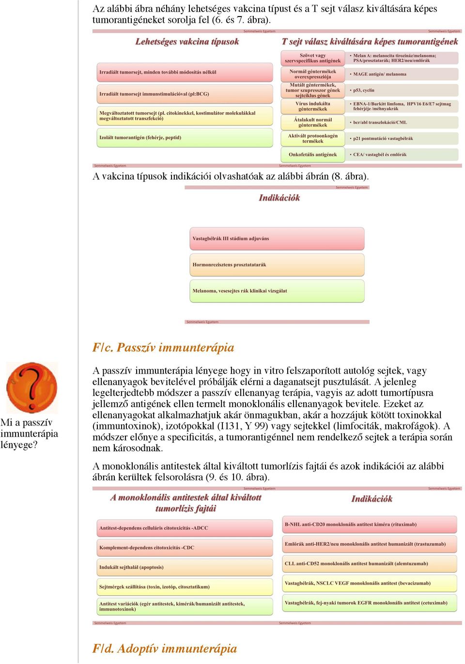 A jelenleg legelterjedtebb módszer a passzív ellenanyag terápia, vagyis az adott tumortípusra jellemző antigének ellen termelt monoklonális ellenanyagok bevitele.