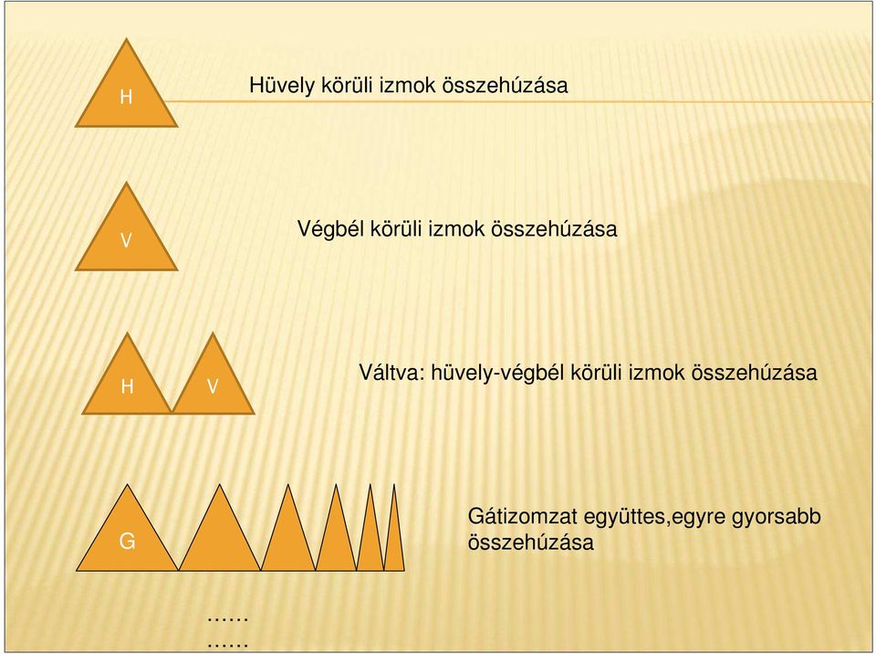 Váltva: hüvely-végbél körüli izmok